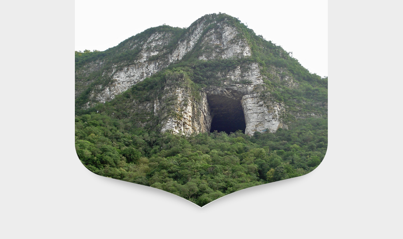 Estudio Técnico Justificado para el establecimiento del área natural protegida "Santuario Biológico Cueva de la Boca"