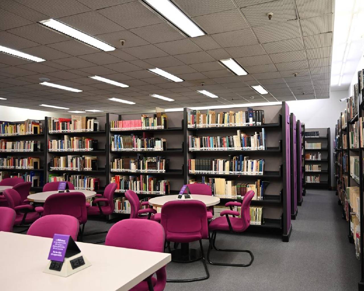 Reapertura de Biblioteca en MHM, más cómoda y actualizada