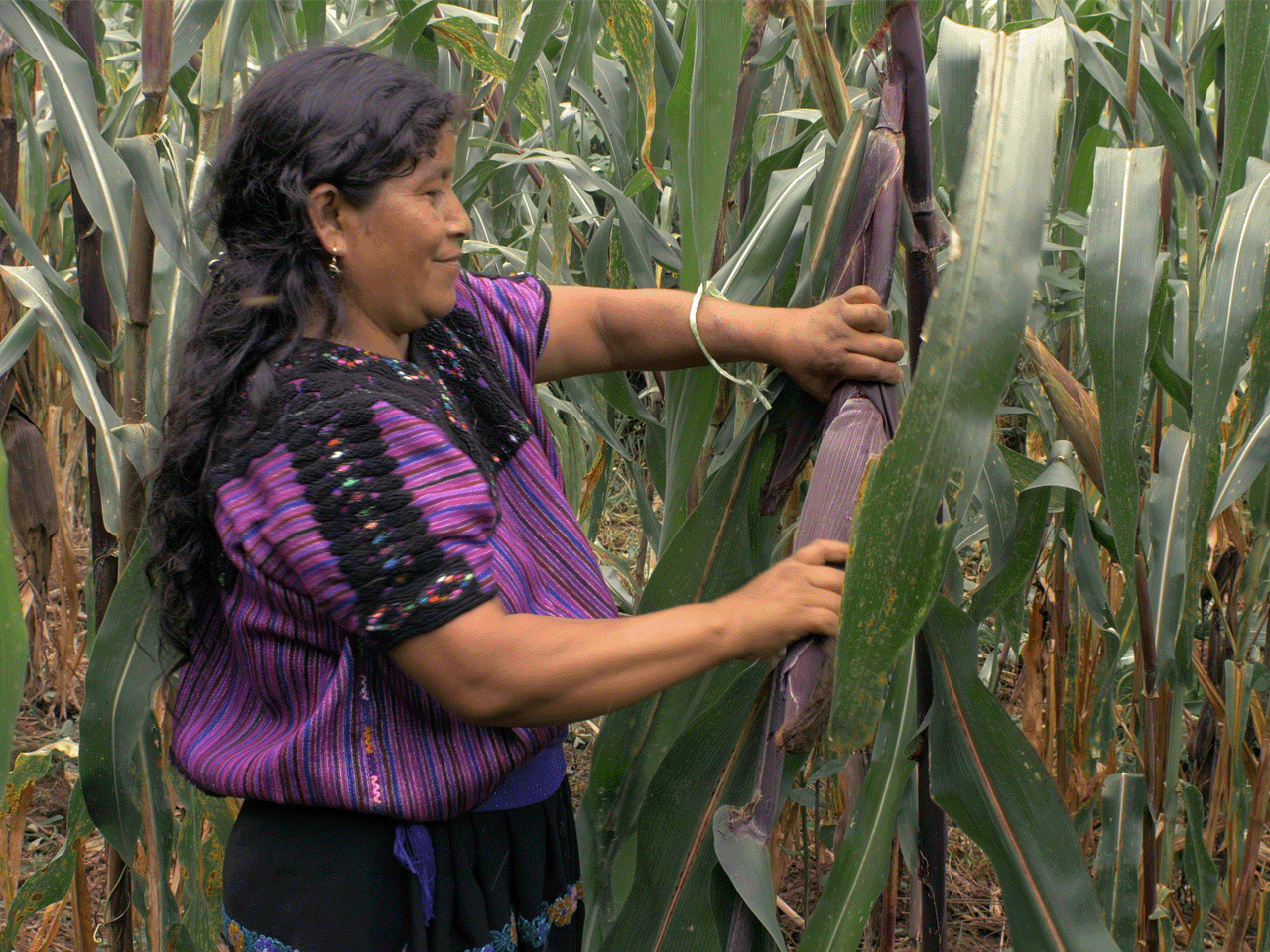 Desde Chiapas a CINETECA NL: mujeres indígenas construyendo libertad y esperanza