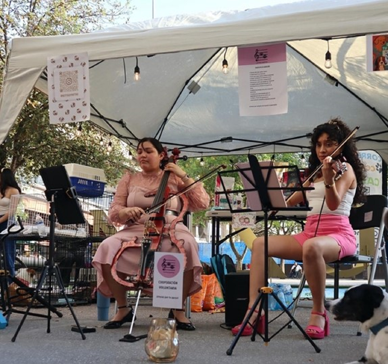Música con Causa: CONARTE invita al concierto “Acordes que Salvan Vidas”