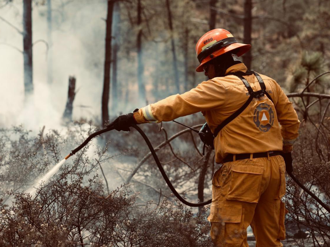 incendios forestales