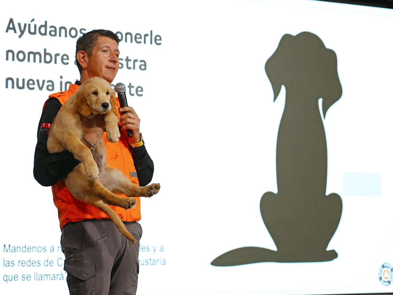 Presentan nueva integrante de Manada K9