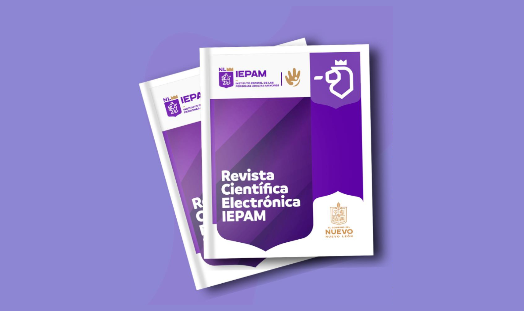 Revista Electrónica IEPAM | Convocatoria