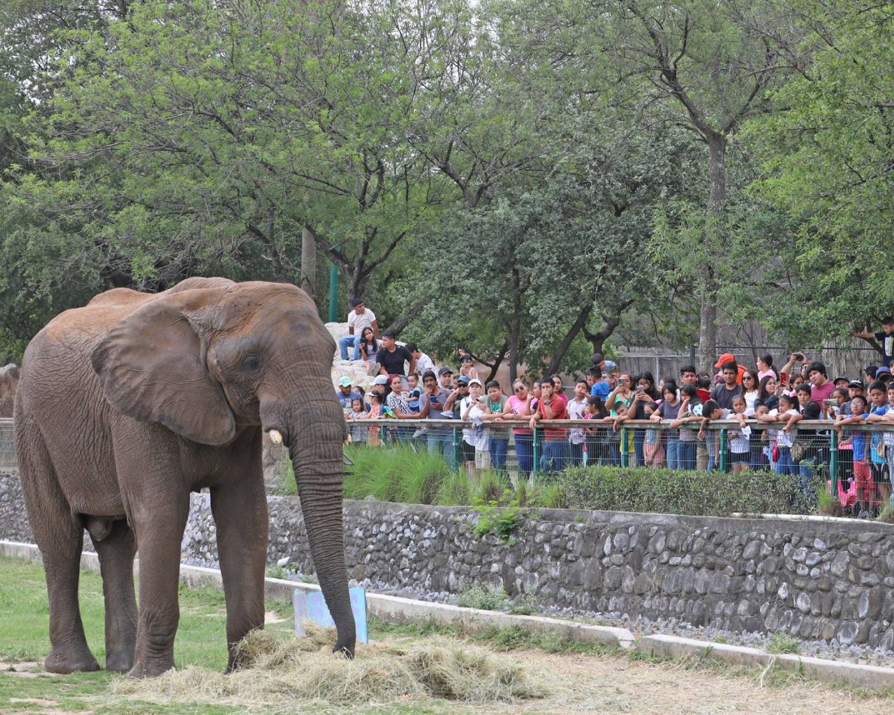 Celebrará “Monty” Cumpleaños Número 18
