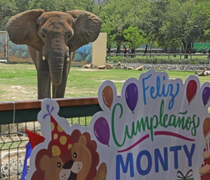 Festeja Monty su cumpleaños 18