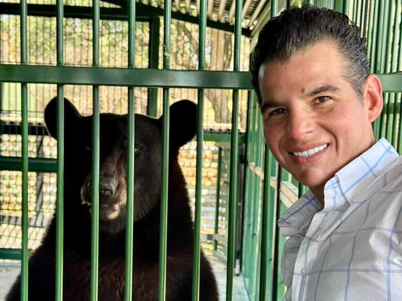 Mike Flores supervisa evolución de Tadeo, oso negro rescatado hace ocho meses