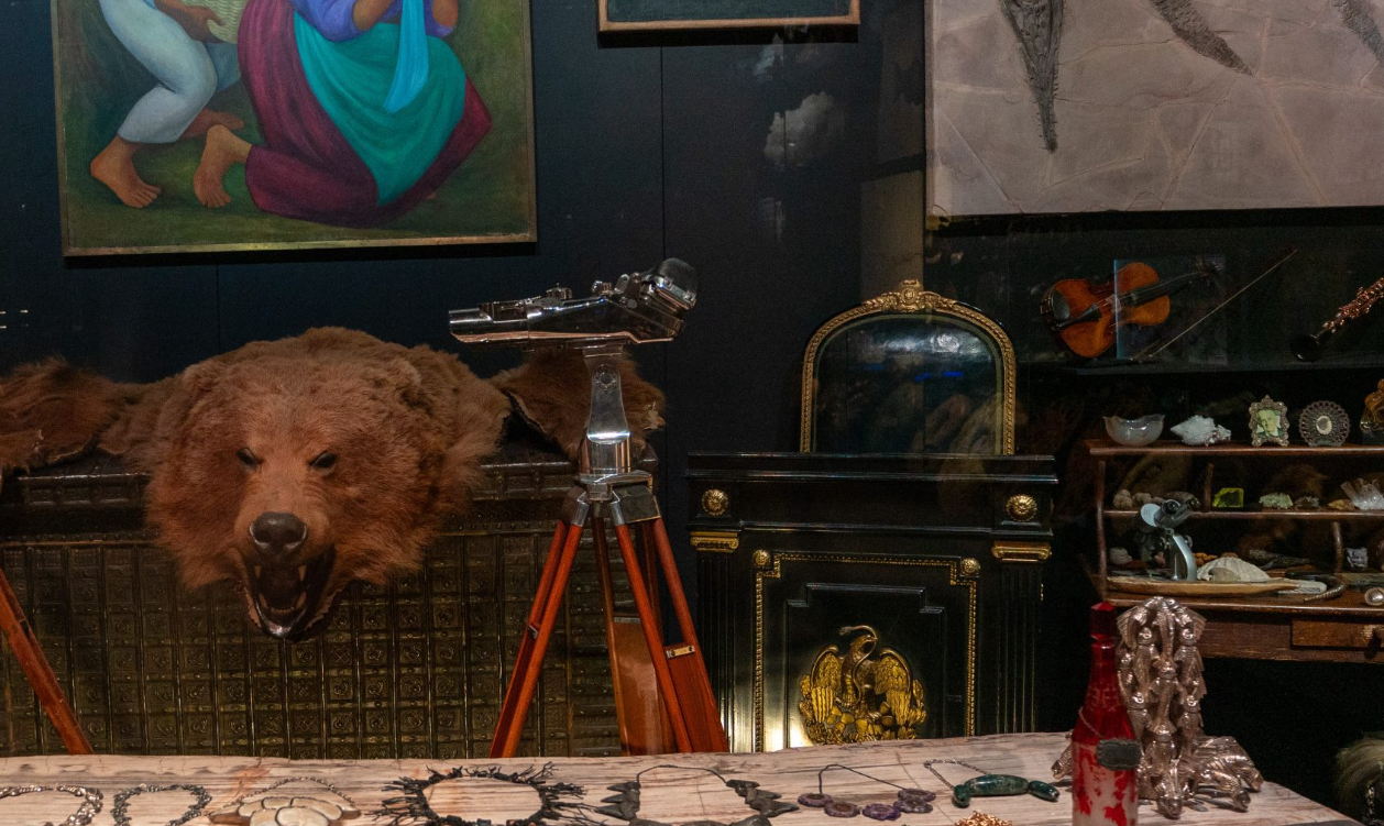 El Estudio del Coleccionista