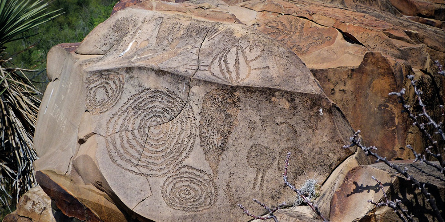 Coloquio William Breen Murray 2024