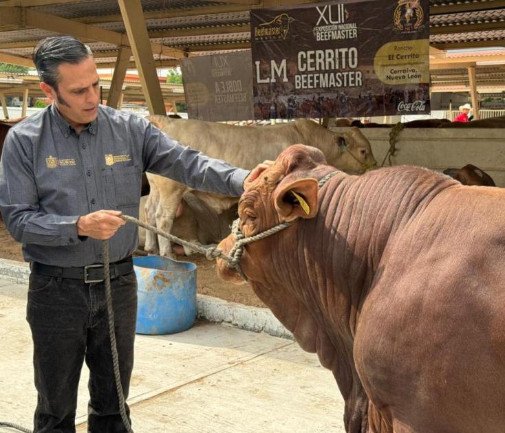 Implementa Estado histórico incremento en apoyos para adquisición de sementales