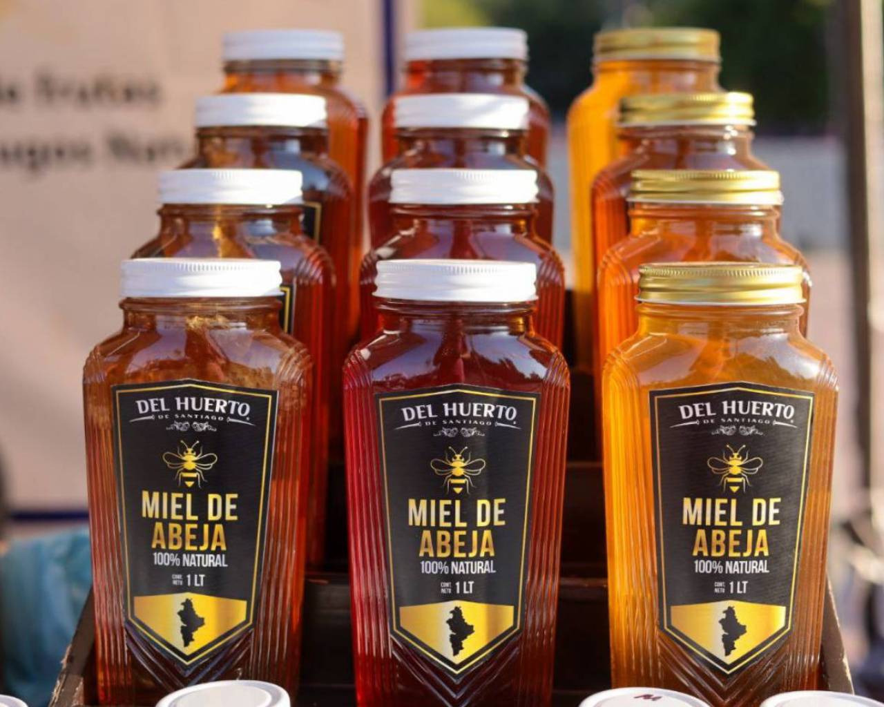 Convocatoria: ¡Expórtalo a Texas!