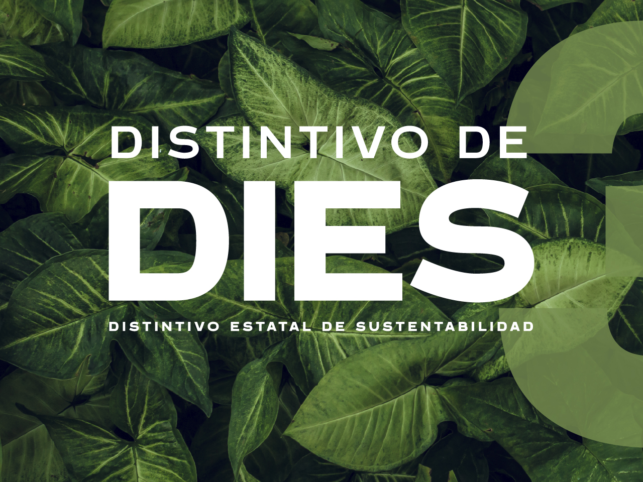 Distintivo DIES