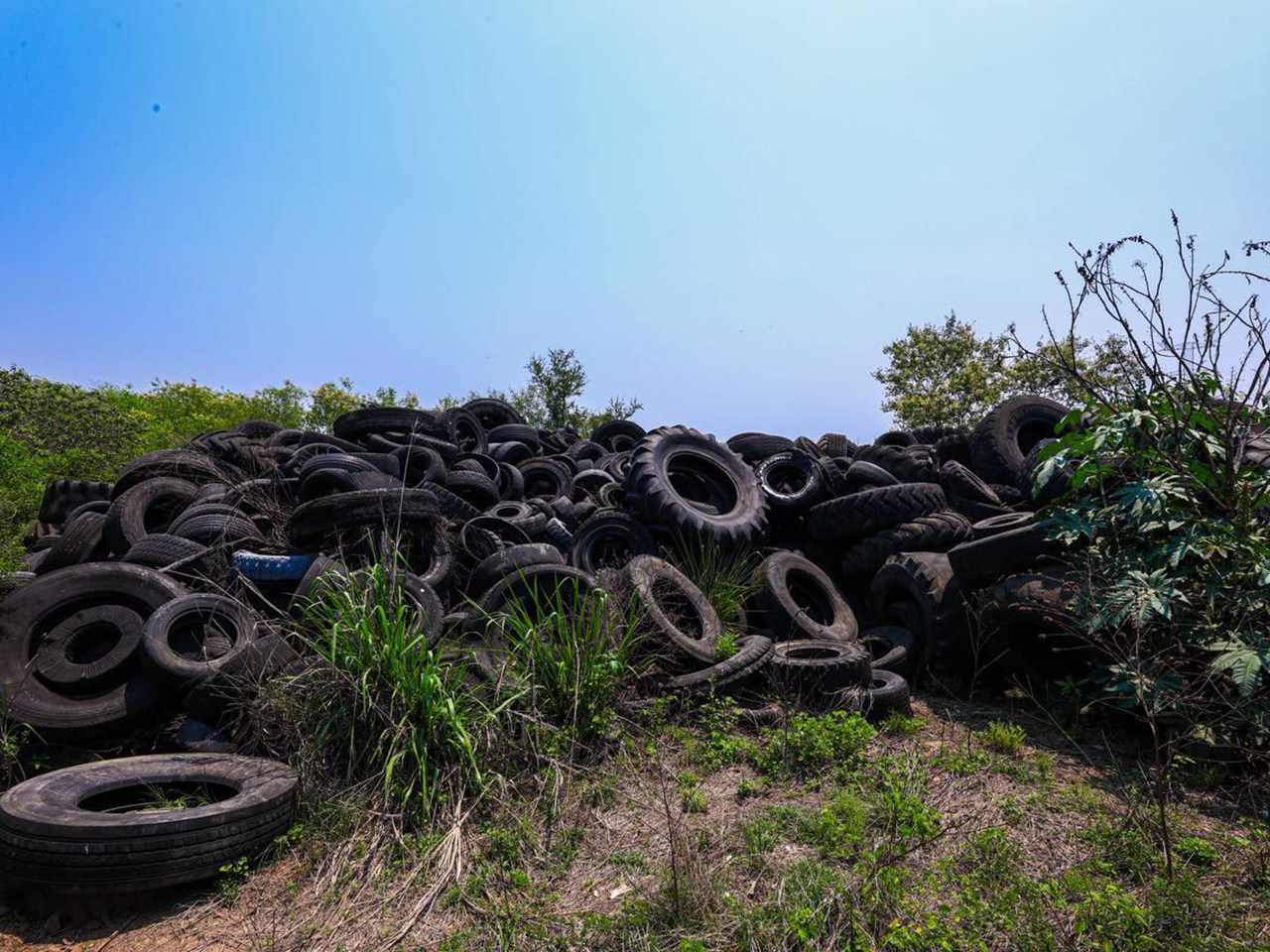 Secretaría de Medio Ambiente suspende tiradero clandestino evitando la quema de cientos de llantas 