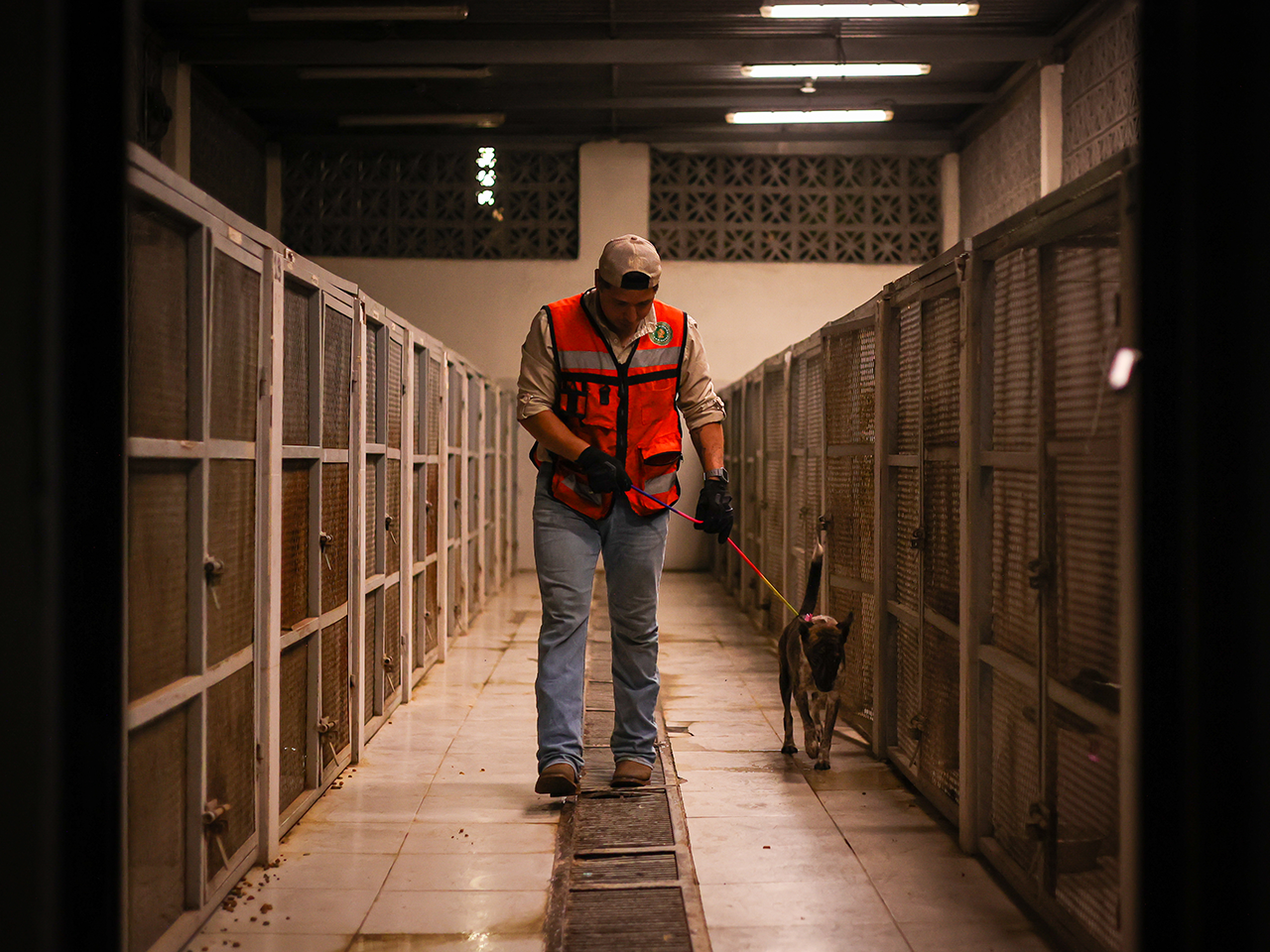 División Ambiental  y Fiscalía de Nuevo León aseguran animales del Centro de Bienestar de Santa Catarina