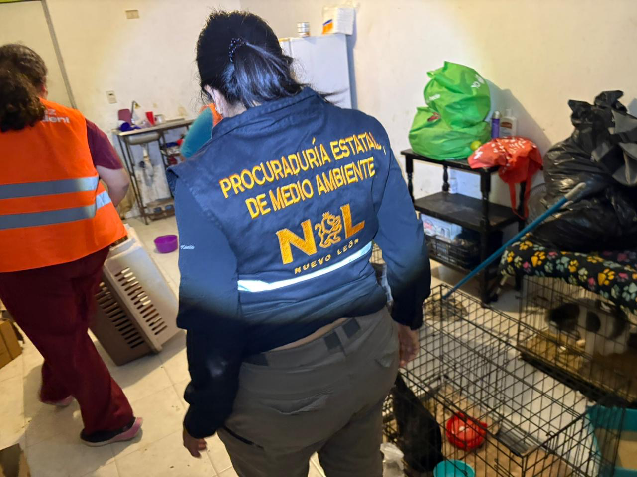 Nueva División Ambiental rescata 13 felinos en condiciones críticas de maltrato en Juárez