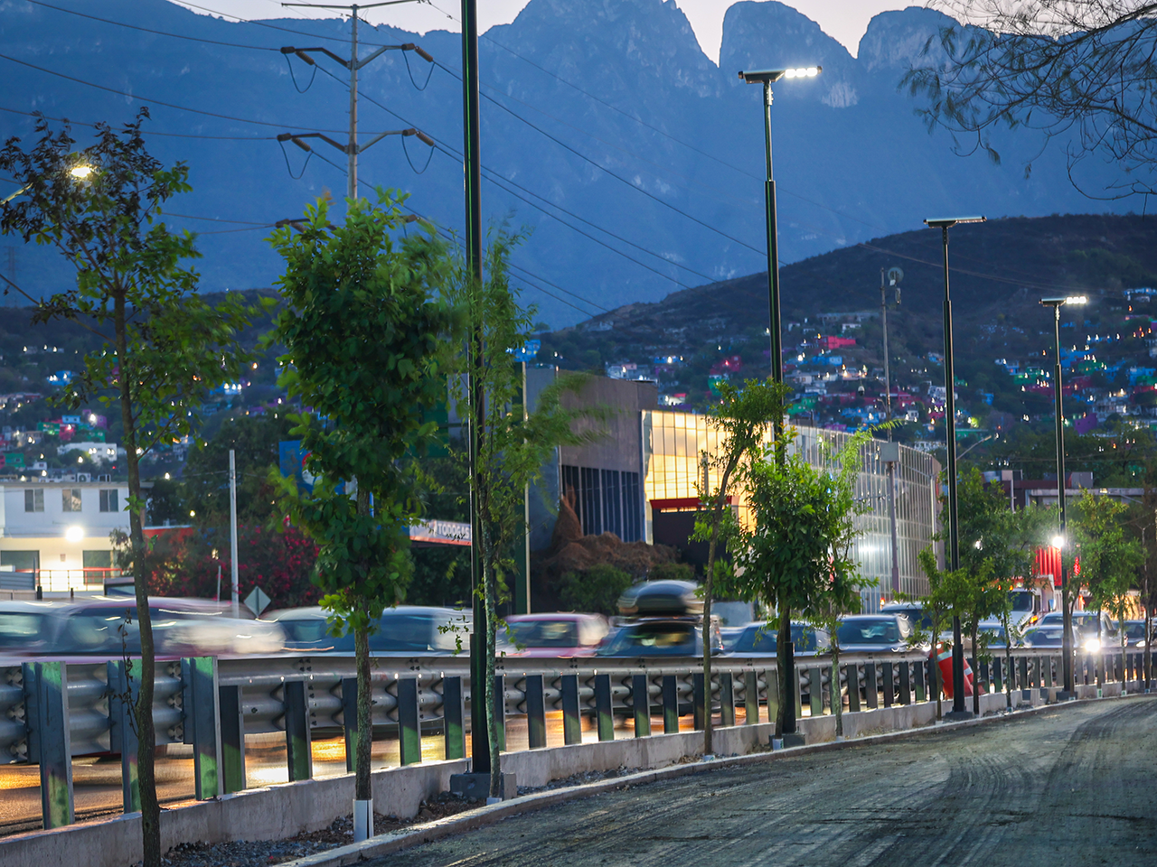Nuevo León se pone nuevo con más áreas verdes: Inicia la arborización de circuitos lineales en avenida Morones Prieto