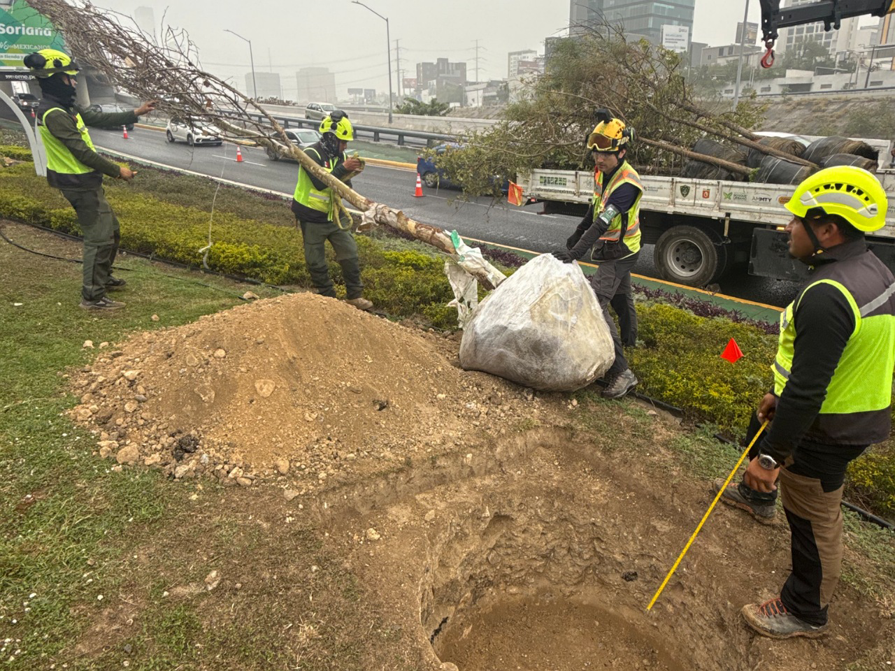 Nos seguimos poniendo nuevos: nace un nuevo espacio verde en Av. Morones Prieto