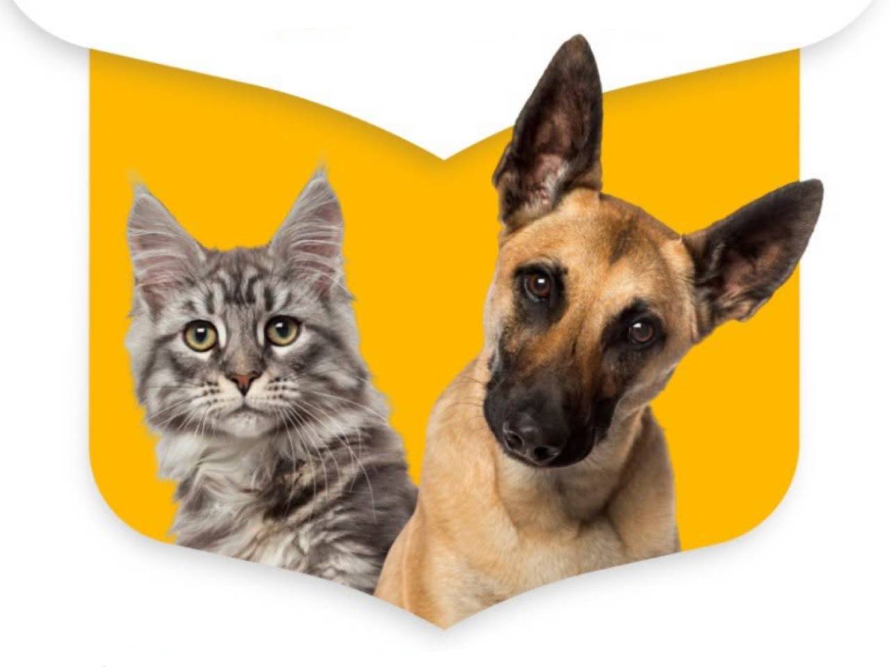 Campaña de esterilización y vacunación antirrábica