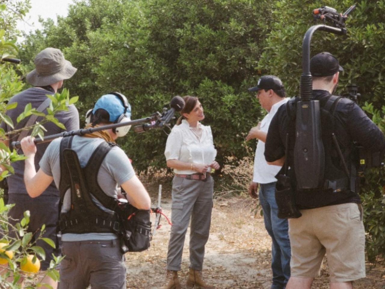 filma NL proyectos