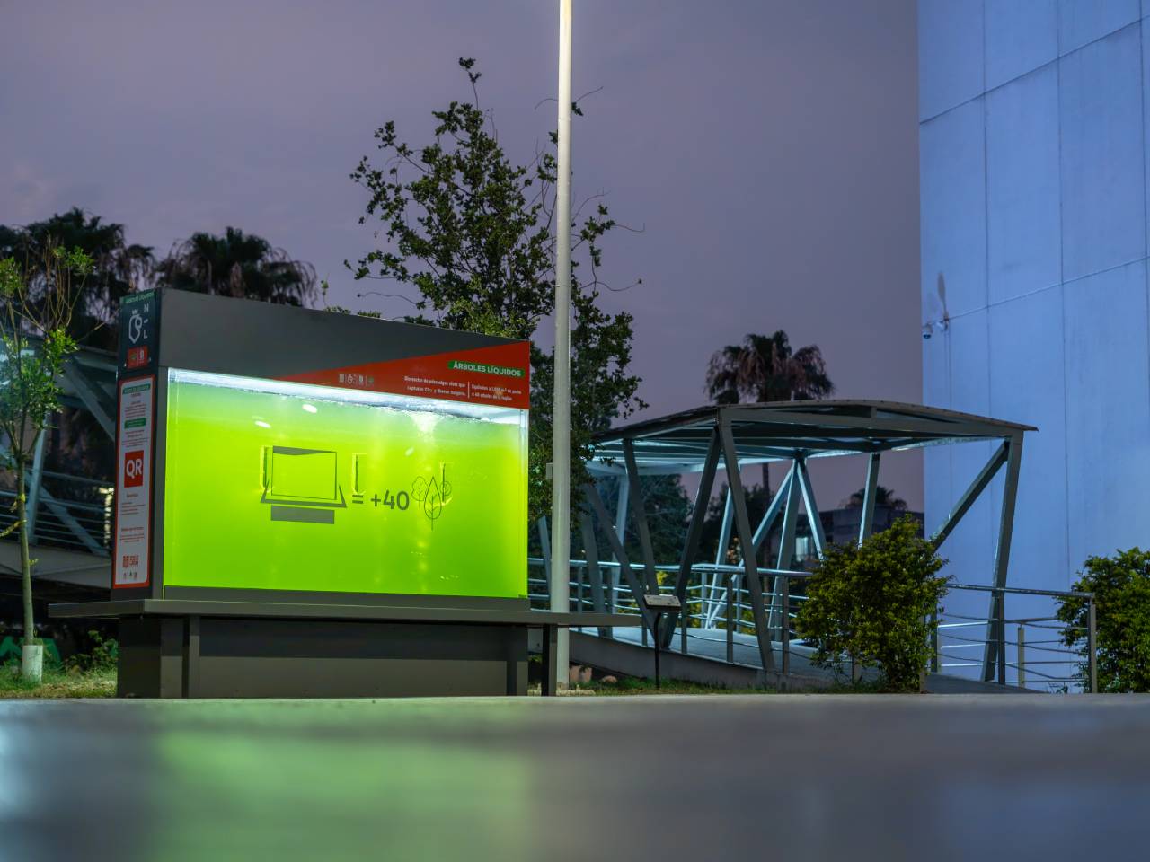 Árboles Líquidos de Microalgas Vivas