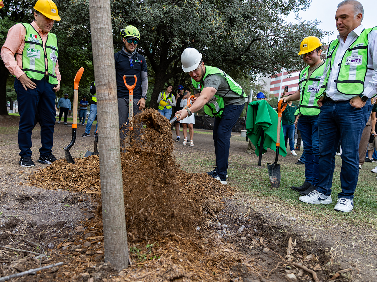 “En estos primeros tres años ya van 650 mil árboles plantados”. - Samuel García