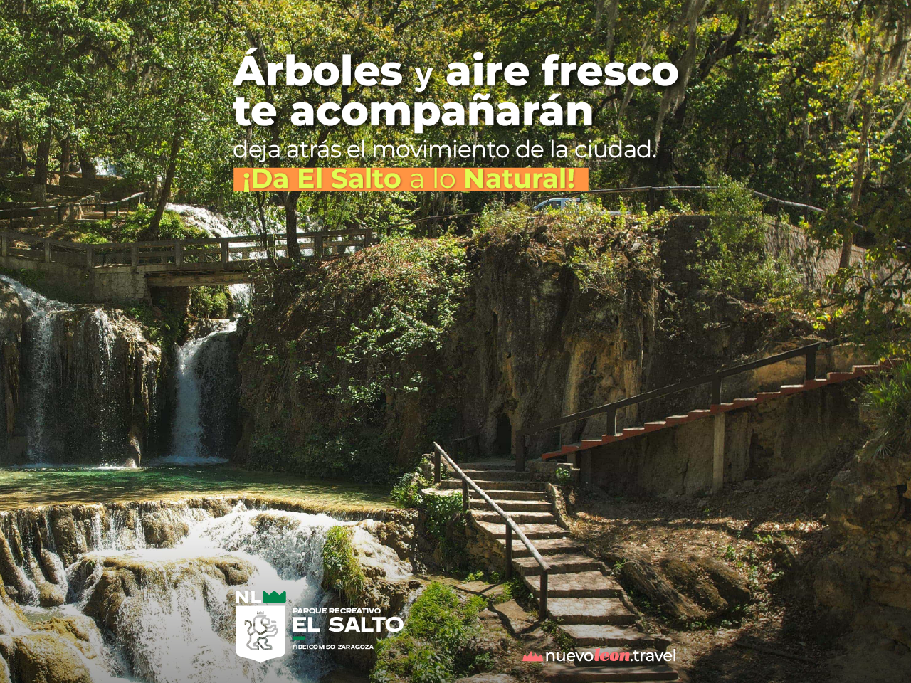 Árboles y aire fresco te acompañarán, deja atrás el movimiento de la ciudad. ¡Da El Salto a lo natural!