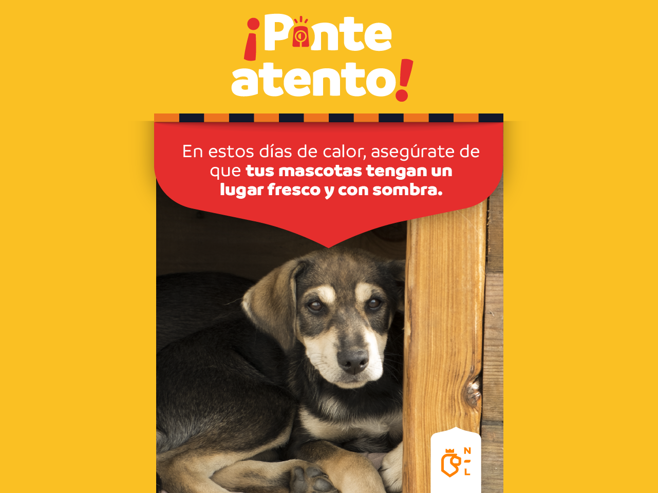 ¡Ponte Atento! En estos días de calor, asegúrate de que tus mascotas tengan un lugar fresco y con sombra.