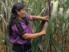 Desde Chiapas a CINETECA NL: mujeres indígenas construyendo libertad y esperanza