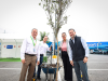 Secretaría de Medio Ambiente y Walmart aplican la norma para reforestar estacionamientos  