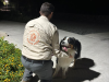 Nueva División Ambiental rescata a perrito encerrado más de 9 horas dentro de vehículo