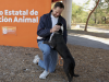 Dan voluntarios ejemplo de corresponsabilidad; pasean perritos en adopción del Centro de Atención Animal  